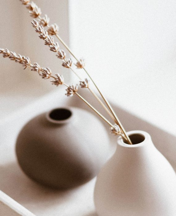 white-and-brown-vases