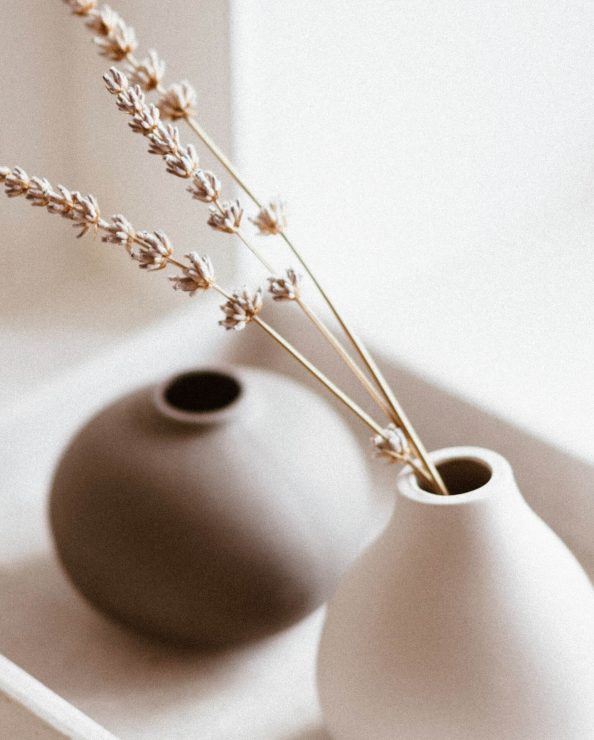 white-and-brown-vases