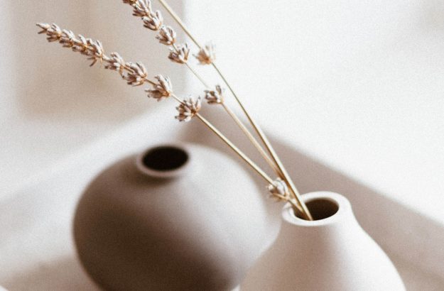 white-and-brown-vases