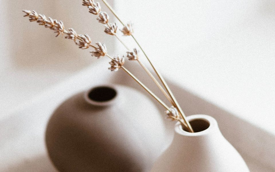 white-and-brown-vases