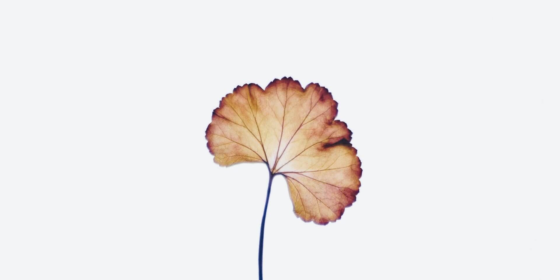 evie-s-cd05Lc5N7tE-unsplash